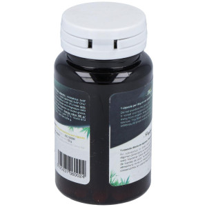 San Probiotic Human Specific Ferment 60Cáps