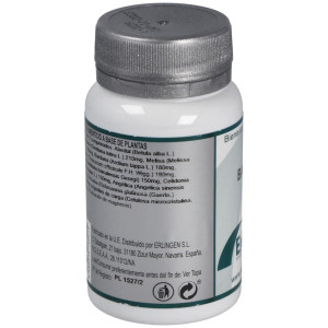 Erlingen Base 2 60Comp