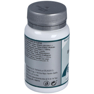 Erlingen Base 3 60Comp