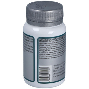 Erlingen Base 4 60Comp