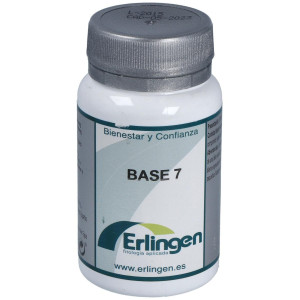 Erlingen Base 07 60Comp