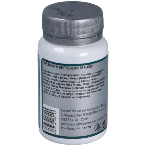 Erlingen Base 5 60Comp