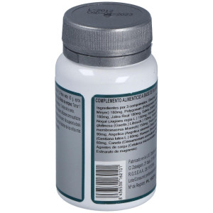 Erlingen Base 6 60 Cpr