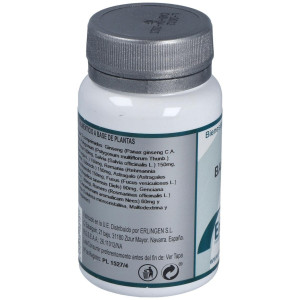 Erlingen Base 6 60 Cpr