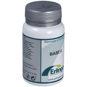 Erlingen Base 6 60 Cpr