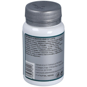 Erlingen Base 07 60Comp