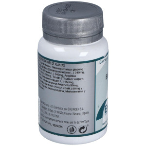 Erlingen Base 07 60Comp