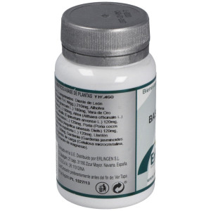 Erlingen Base 11 60Comp