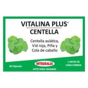 Erlingen Definido 6A 60Comp