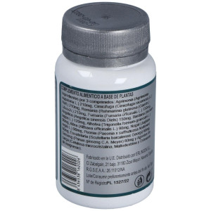 Erlingen Base 2C 60Comp