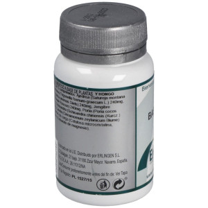 Erlingen Base 17 60Comp