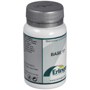 Erlingen Base 17 60Comp