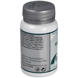 Erlingen Base 2E 60Caps