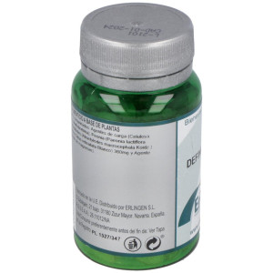 Erlingen Base Definido 703 60Comp