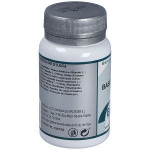 Erlingen Base 3Qh 60Comp