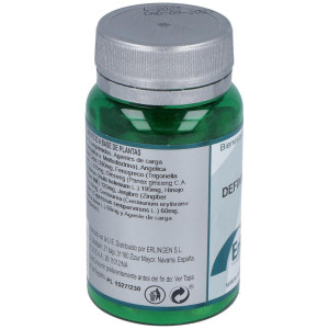 Erlingen Base Definido 104 60Comp