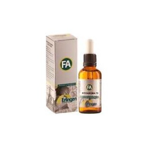 Erlingen Fitoaroma 73 55Ml