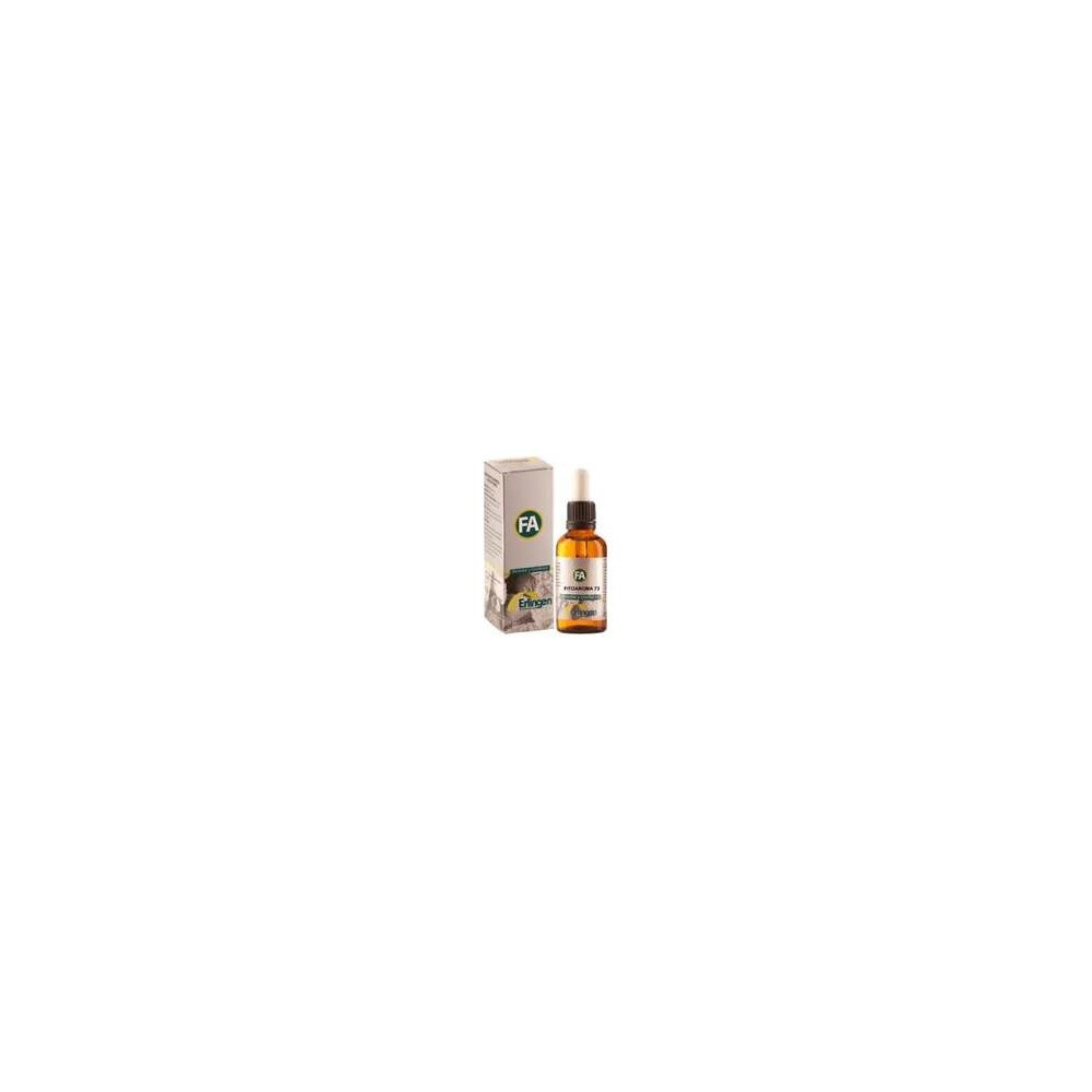 Erlingen Fitoaroma 73 55Ml