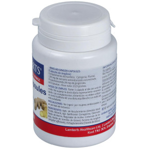 Ginger 12000Mg. Jengibre 60Cap.