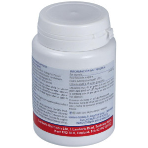 Ginger 12000Mg. Jengibre 60Cap.