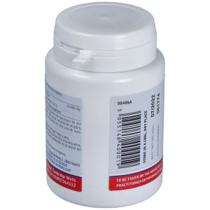 Ginger 12000Mg. Jengibre 60Cap.