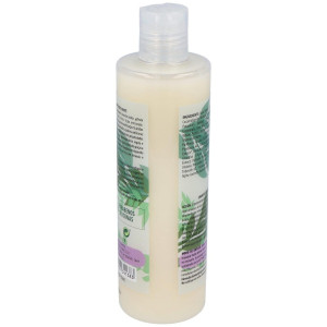 Champu Exfoliante Anticaspa 300Ml. (Ref. 641)