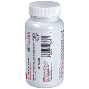 Cordyceps Plantis 60Cap.
