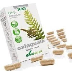 Calaguala 30 Caps Xxi Soria Natural