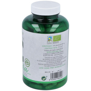 Soria Natural Verde De Cebada 240 Caps De 580Mg