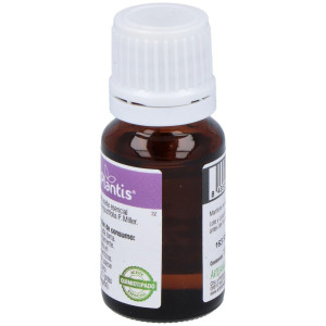Lavanda Aceite Esencial 10 Cc.