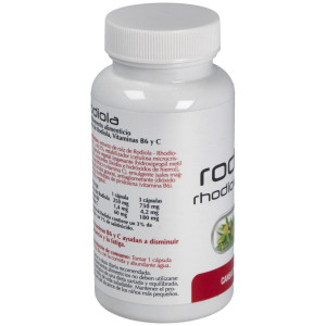 Rhodiola Plantis 60Cap.