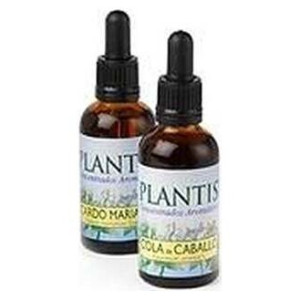 Honeysuckle Plantis Flores...