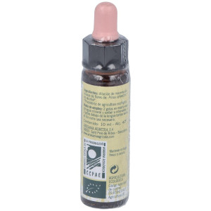 Pine Plantis Flores De Bach Nº 24 10Ml.