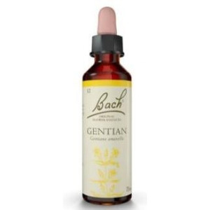 Flores Bach Gentian...