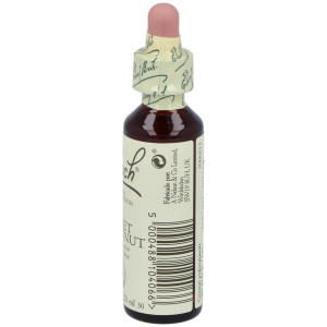 Flores Bach Sweet Chestnut Castaño Dulce 20Ml.