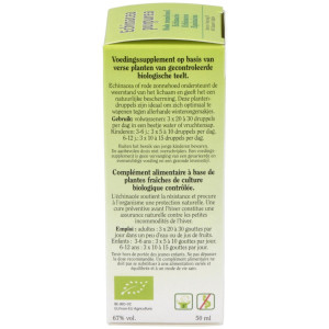 Ext. Echinacea Purpurea (Echinacea) 50Ml.