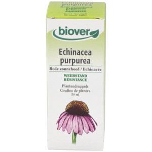 Ext. Echinacea Purpurea (Echinacea) 50Ml.