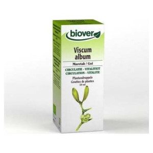 Ext. Viscum Album...