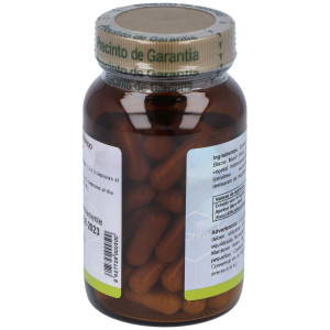 Agaricus Blazei 60Cap.