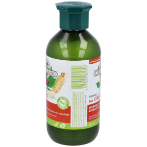 Champu Ginseng Y Ginkgo Reforzante 300Ml