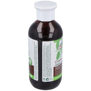 Corpore Sano Champu Cabellos Castaño 300M Bio