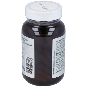 El Granero Integral Ginkgo Biloba 600Mg 90 Cáps