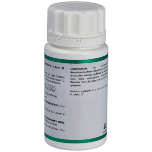 Holofit Artemisa 60Cap.