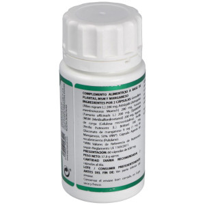 Holofit Grosellero 60Cap.