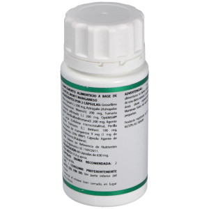 Holofit Grosellero 60Cap.