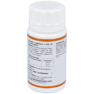 Holofit Piña - Papaya - Hinojo 50Cap.