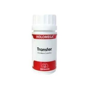 Holomega Transfer 50Cap.