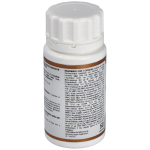 Holovit Multivitaminico Organico 50Comp.