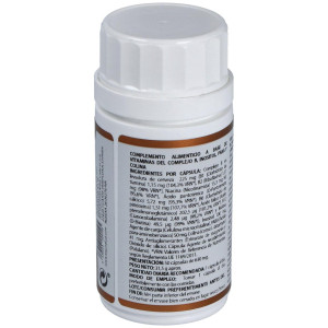 Holovit Complejo B 50Cap.