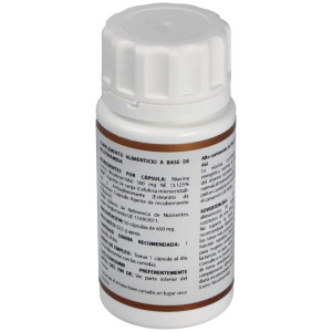 Holovit Nicotinamida 500Mg. 50Cap.